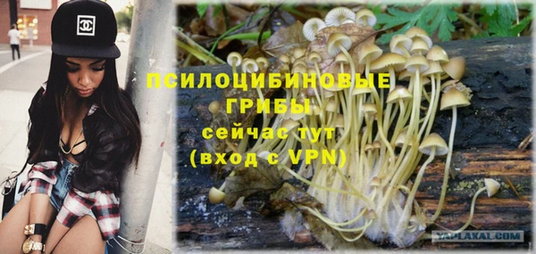 скорость Горняк