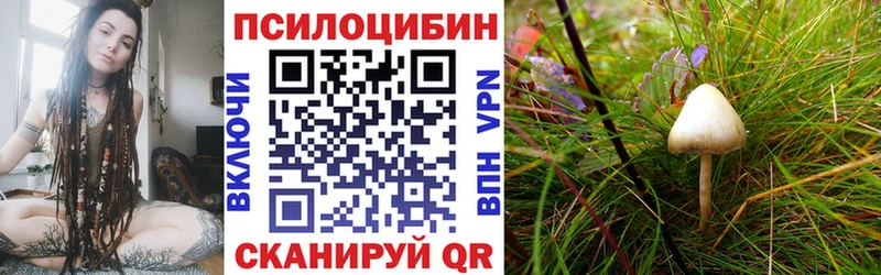 Галлюциногенные грибы MAGIC MUSHROOMS  Дудинка 